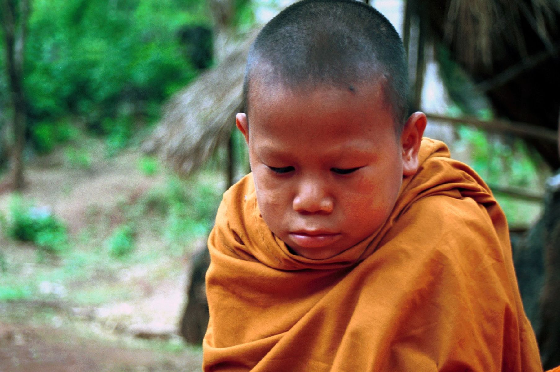 Buddha's Lost Children